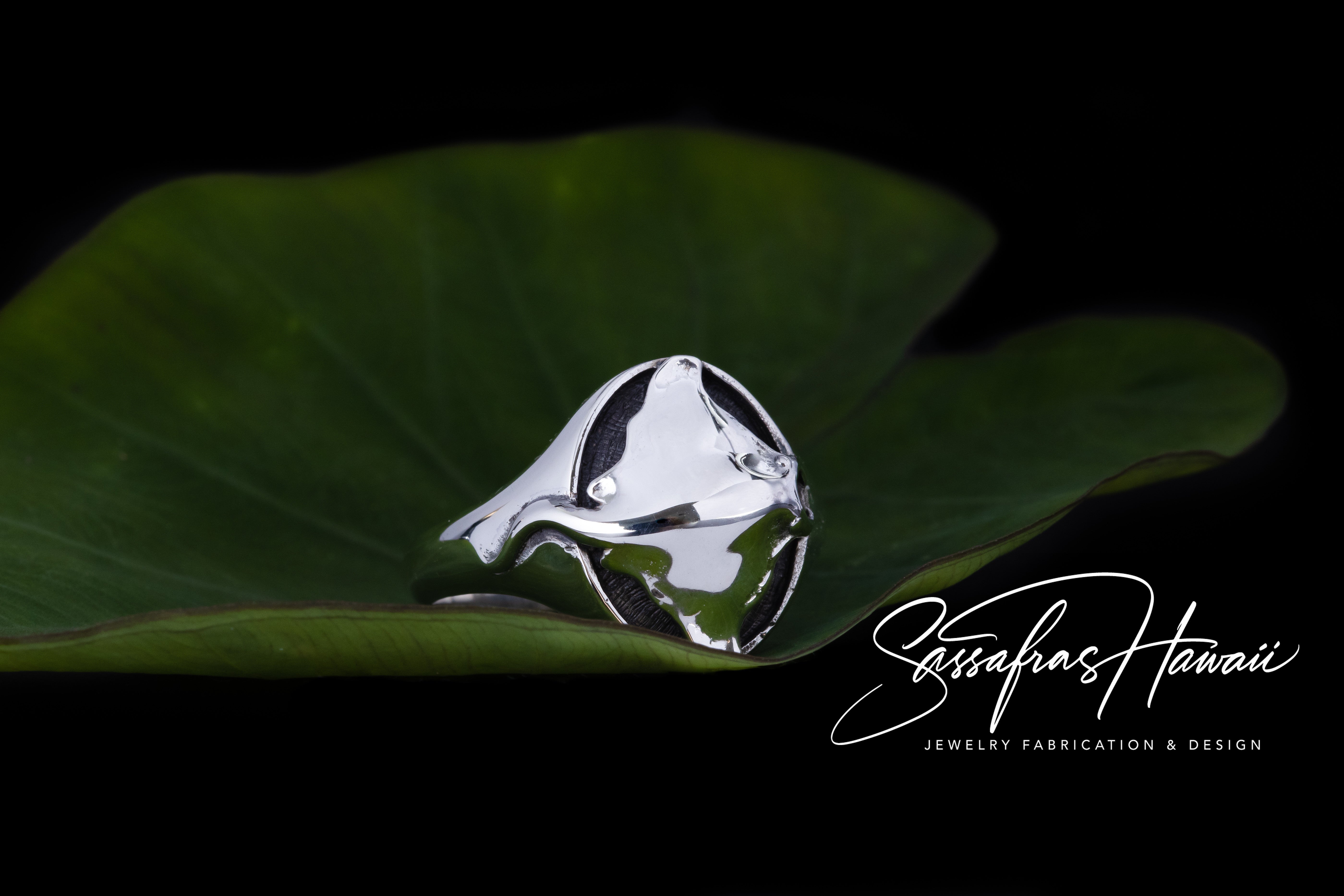 3D Manta Ring