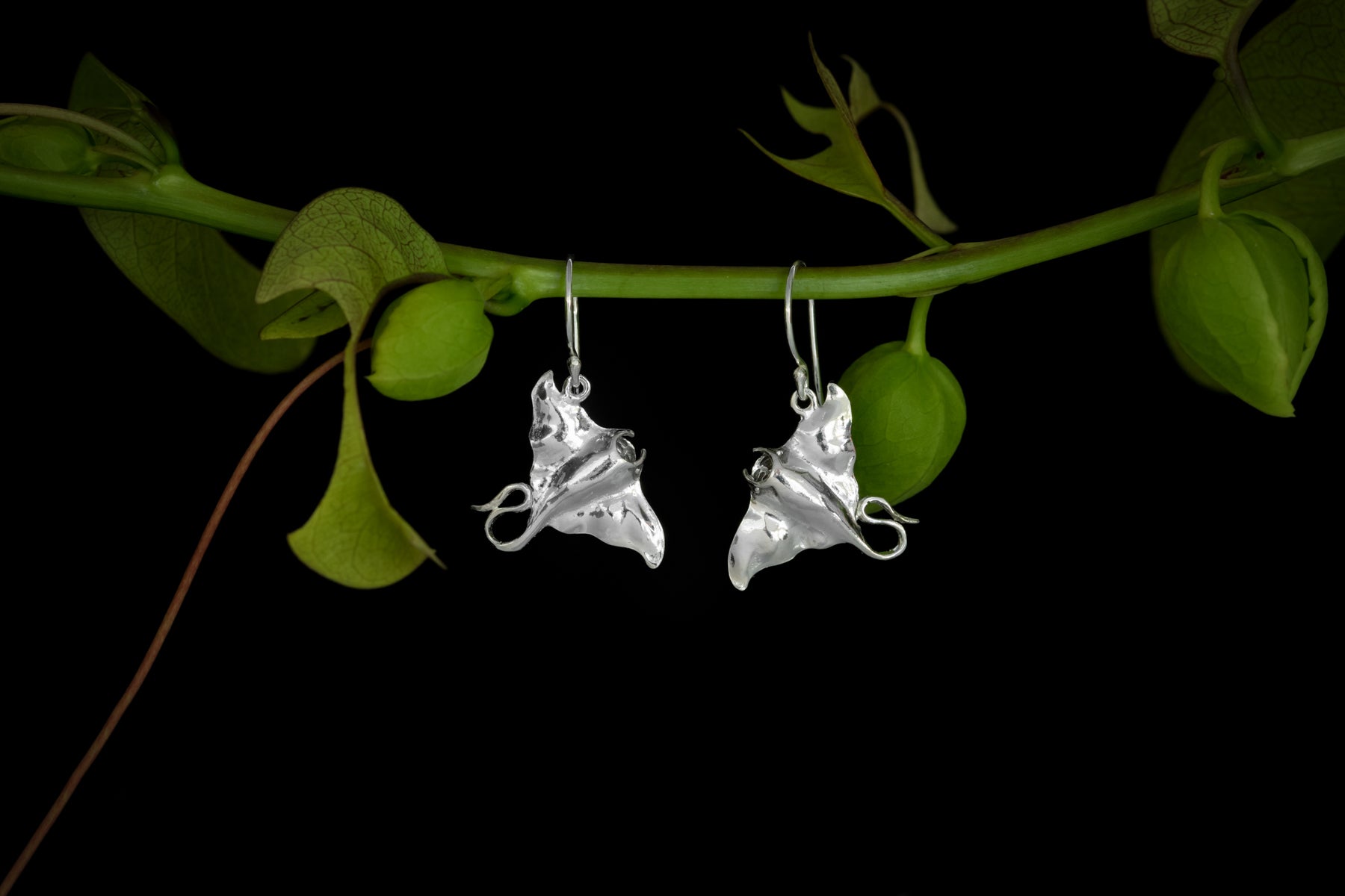 3D Manta Earrings